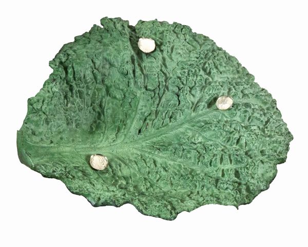 Antonio Trotta : Cavoli miei  - Asta Arte Moderna e Contemporanea - Associazione Nazionale - Case d'Asta italiane