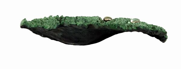 Antonio Trotta : Cavoli miei  - Asta Arte Moderna e Contemporanea - Associazione Nazionale - Case d'Asta italiane