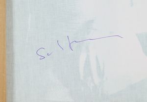 MARIO SCHIFANO : Televisore  - Asta Arte Moderna e Contemporanea - Associazione Nazionale - Case d'Asta italiane