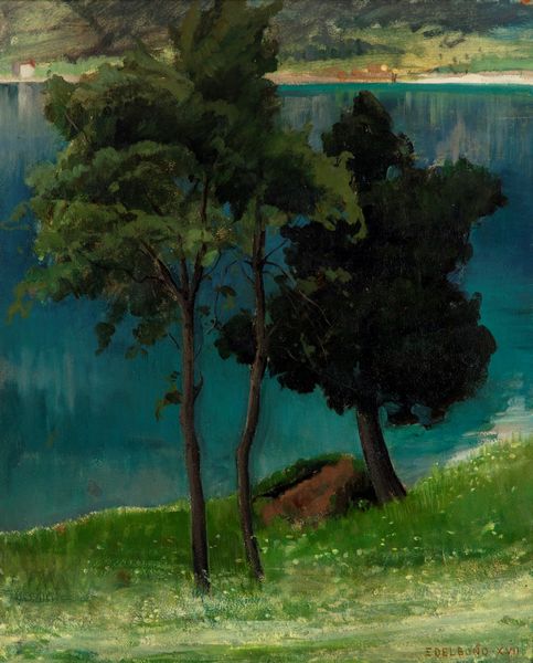 ENRICO DEL BONO : Paesaggio lacustre  - Asta Opere da una dimora sul lago di Como e da altre collezioni lombarde - Associazione Nazionale - Case d'Asta italiane