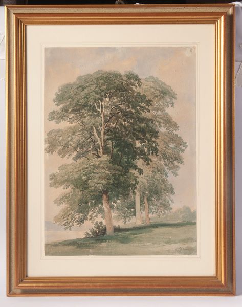 GABRIELE SMARGIASSI : Paesaggio con alberi  - Asta Smart Auction: arredi, dipinti, sculture, strumenti musicali, ceramiche e altro a prezzi vantaggiosi - Associazione Nazionale - Case d'Asta italiane