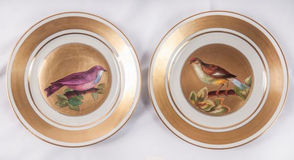 Lotto di due piatti da coltello  - Asta Smart Auction: arredi, dipinti, sculture, strumenti musicali, ceramiche e altro a prezzi vantaggiosi - Associazione Nazionale - Case d'Asta italiane