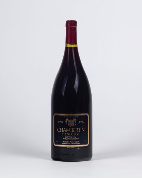 FRANCIA : Pierre Gelin Chambertin Clos-de-Beze Grand Cru Magnum (BT 1)  - Asta Importanti Vini e Distillati - Associazione Nazionale - Case d'Asta italiane