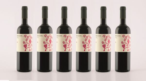 Italia : VERTICALE MONTEVETRANO (6 BT)  - Asta Importanti Vini e Distillati - Associazione Nazionale - Case d'Asta italiane