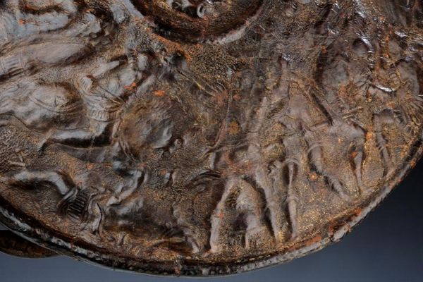 Rara rotella in cuoio bollito  - Asta Rare Armi Antiche e Militaria da tutto il mondo - Associazione Nazionale - Case d'Asta italiane