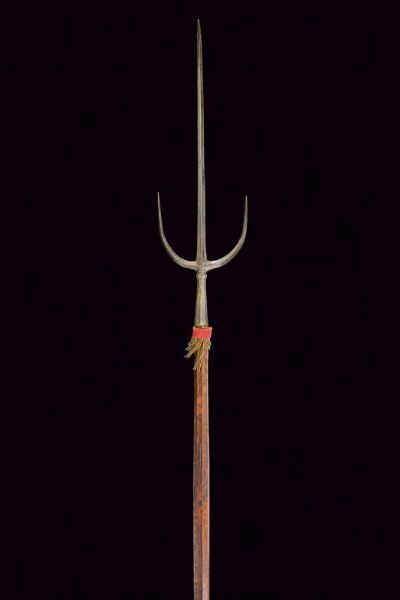 Brandistocco  - Asta Rare Armi Antiche e Militaria da tutto il mondo - Associazione Nazionale - Case d'Asta italiane