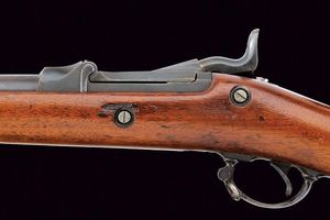 Model 1884 U.S. Trapdoor Rifle  - Asta Rare Armi Antiche e Militaria da tutto il mondo - Associazione Nazionale - Case d'Asta italiane