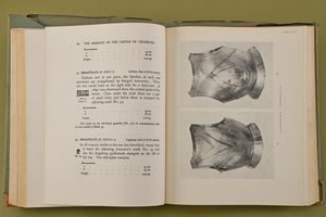 Trapp, Oswald Graf  - Asta Rare Armi Antiche e Militaria da tutto il mondo - Associazione Nazionale - Case d'Asta italiane