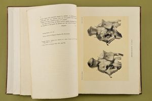 Le Mus�e de l'Arm�e  - Asta Rare Armi Antiche e Militaria da tutto il mondo - Associazione Nazionale - Case d'Asta italiane