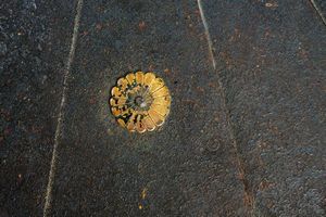 Tosei Gusoku (armatura da samurai)  - Asta Rare Armi Antiche e Militaria da tutto il mondo - Associazione Nazionale - Case d'Asta italiane