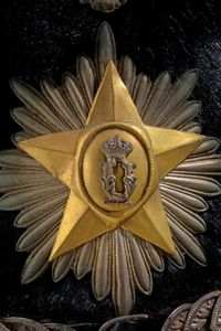 Elmo da generale con le cifre di Umberto I  - Asta Rare Armi Antiche e Militaria da tutto il mondo - Associazione Nazionale - Case d'Asta italiane