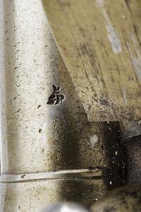 Pistola a pietra focaia Sea service  - Asta Rare Armi Antiche e Militaria da tutto il mondo - Associazione Nazionale - Case d'Asta italiane