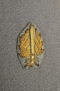 Rara giubba da generale della MVSN  - Asta Rare Armi Antiche e Militaria da tutto il mondo - Associazione Nazionale - Case d'Asta italiane