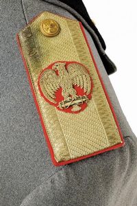 Rara giubba da generale della MVSN  - Asta Rare Armi Antiche e Militaria da tutto il mondo - Associazione Nazionale - Case d'Asta italiane