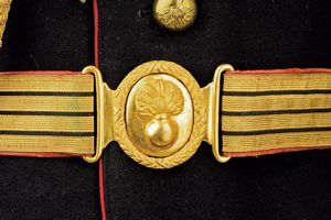 Uniforme da ufficiale della guardia palatina  - Asta Rare Armi Antiche e Militaria da tutto il mondo - Associazione Nazionale - Case d'Asta italiane