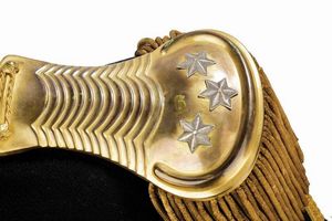 Uniforme da ufficiale della guardia palatina  - Asta Rare Armi Antiche e Militaria da tutto il mondo - Associazione Nazionale - Case d'Asta italiane