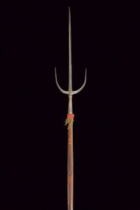 Brandistocco  - Asta Rare Armi Antiche e Militaria da tutto il mondo - Associazione Nazionale - Case d'Asta italiane