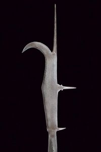 Roncone  - Asta Rare Armi Antiche e Militaria da tutto il mondo - Associazione Nazionale - Case d'Asta italiane