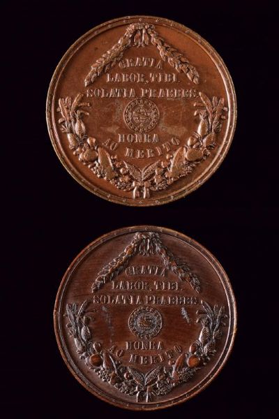 Lotto di due medaglie  - Asta Medaglie, Decorazioni e Ordini - Associazione Nazionale - Case d'Asta italiane