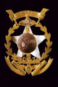 Spilla in oro della Polizia  - Asta Medaglie, Decorazioni e Ordini - Associazione Nazionale - Case d'Asta italiane