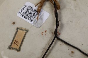 Due piatti.<BR>Savona, XVIII secolo.  - Asta Maioliche e Porcellane - Associazione Nazionale - Case d'Asta italiane