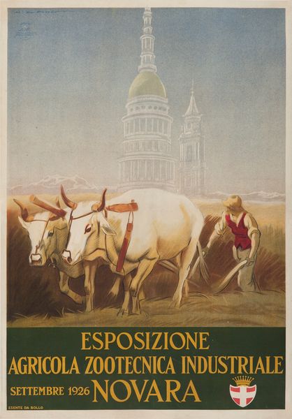 Marcello Dudovich : Esposizione Agricola Zootecnica Industriale, Novara  - Asta Manifesti d'Epoca e Collectible - Associazione Nazionale - Case d'Asta italiane