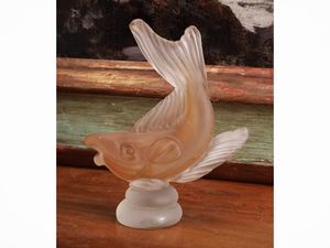 Lotto di curiosit marine  - Asta Dimore fiorentine - Associazione Nazionale - Case d'Asta italiane