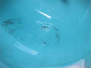 Grande alzata centrotavola in terracotta smaltata  - Asta Dimore fiorentine - Associazione Nazionale - Case d'Asta italiane