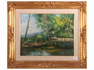 Massimo Callossi - Luci sul bosco