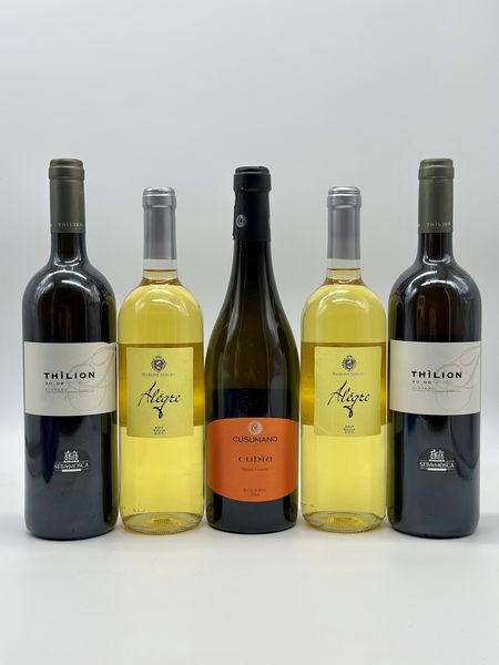 Selezione Sicilia, Sella e Mosca - Barone Sergio - Cusumano  - Asta Wine & Spirits - Associazione Nazionale - Case d'Asta italiane