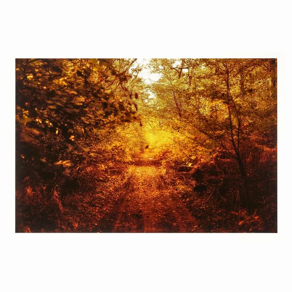 Riccardo Bagnoli : RICCARDO BAGNOLI  - Asta ARTE MODERNA E CONTEMPORANEA E OPERE DALLA RACCOLTA DI ANTONIO PAOLUCCI - Associazione Nazionale - Case d'Asta italiane