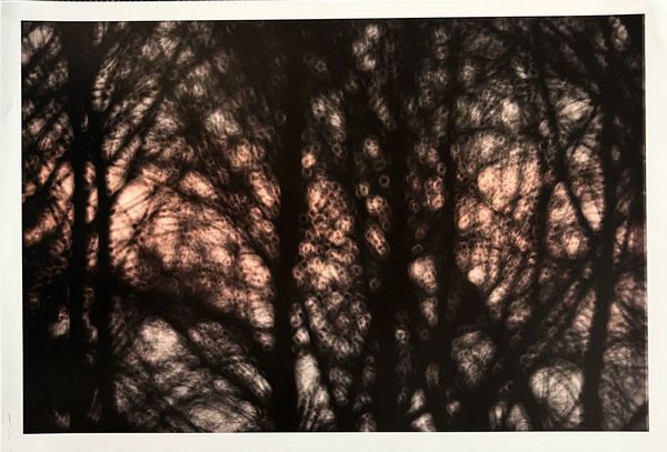 Riccardo Bagnoli : RICCARDO BAGNOLI  - Asta ARTE MODERNA E CONTEMPORANEA E OPERE DALLA RACCOLTA DI ANTONIO PAOLUCCI - Associazione Nazionale - Case d'Asta italiane