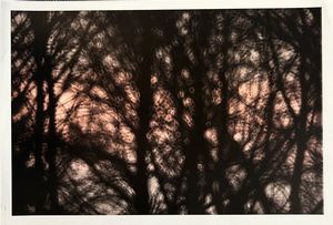 Riccardo Bagnoli - RICCARDO BAGNOLI