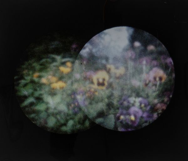 PAOLO GIOLI : Senza titolo (Composizione al cerchio)  - Asta Fotografia - Associazione Nazionale - Case d'Asta italiane