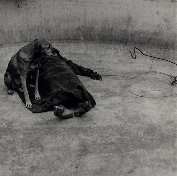 Roger Ballen : Guardian  - Asta Fotografia - Associazione Nazionale - Case d'Asta italiane