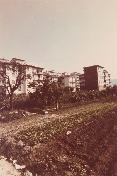 Lapo Binazzi : Orti  - Asta Fotografia - Associazione Nazionale - Case d'Asta italiane