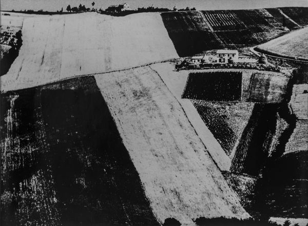 Mario Giacomelli : La buona terra  - Asta Fotografia - Associazione Nazionale - Case d'Asta italiane