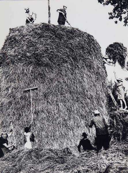 Mario Giacomelli : La buona terra  - Asta Fotografia - Associazione Nazionale - Case d'Asta italiane