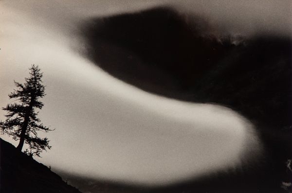 Riccardo Moncalvo : La contessa del vento  - Asta Fotografia - Associazione Nazionale - Case d'Asta italiane