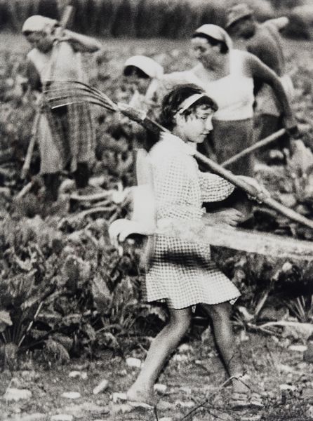 Mario Giacomelli : La buona terra  - Asta Fotografia - Associazione Nazionale - Case d'Asta italiane