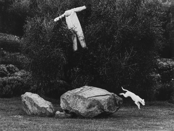 Mario Lasalandra : Il cane bianco  - Asta Fotografia - Associazione Nazionale - Case d'Asta italiane