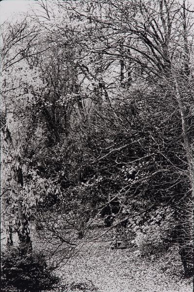 Willy Ronis : Les habits noirs de Willy Ronis  - Asta Fotografia - Associazione Nazionale - Case d'Asta italiane