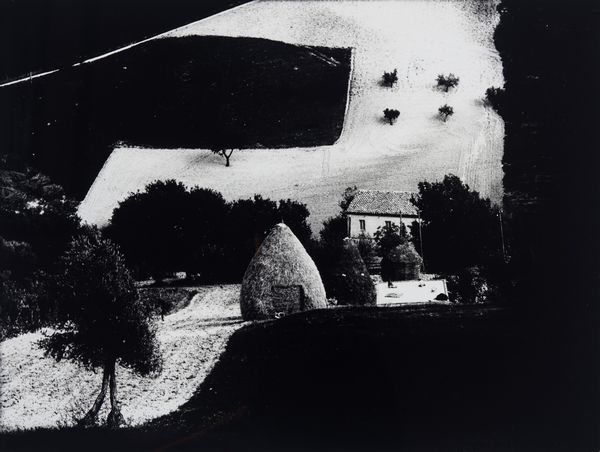 Enzo Cucchi<br>Mario Giacomelli : Presa di coscienza sulla natura ; Mario Giacomelli e Enzo Cucchi  - Asta Fotografia - Associazione Nazionale - Case d'Asta italiane