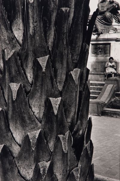 Sergio Larrain : Valparaiso  - Asta Fotografia - Associazione Nazionale - Case d'Asta italiane
