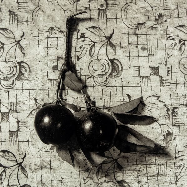 Flor Garduño : Almelita II  - Asta Fotografia - Associazione Nazionale - Case d'Asta italiane