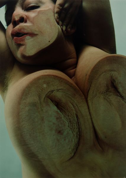 Jenny Saville<br>Glen Luchford : Closed Contact - C  - Asta Fotografia - Associazione Nazionale - Case d'Asta italiane