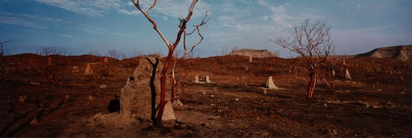 Wim Wenders : After a Fire, Kimberleys, West Australia  - Asta Fotografia - Associazione Nazionale - Case d'Asta italiane