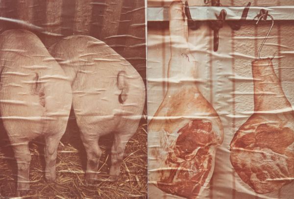 Luigi Ghirri : Reggio Emilia, dalla serie Kodachrome  - Asta Fotografia - Associazione Nazionale - Case d'Asta italiane