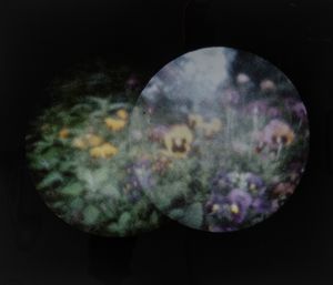 PAOLO GIOLI - Senza titolo (Composizione al cerchio)