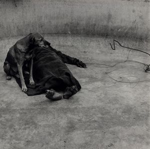 Roger Ballen - Guardian